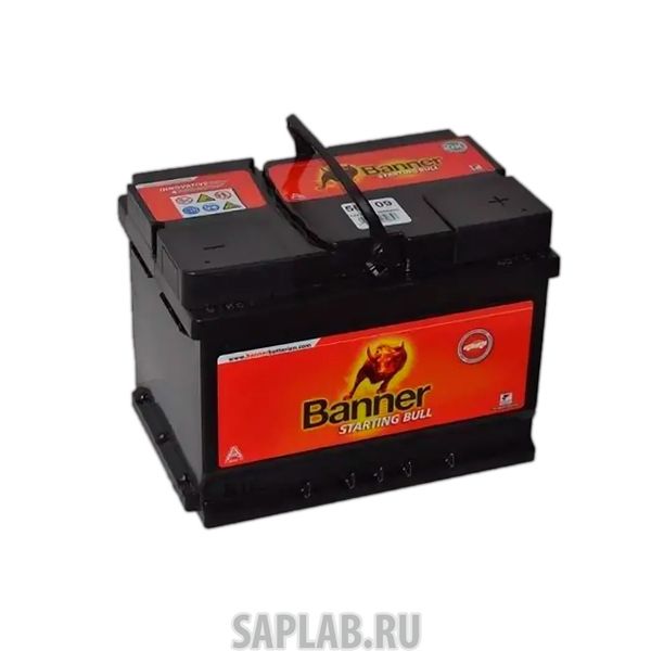 Купить BANNER 6СТ6056008 Аккумулятор BANNER Starting Bull 60А/ч низкий