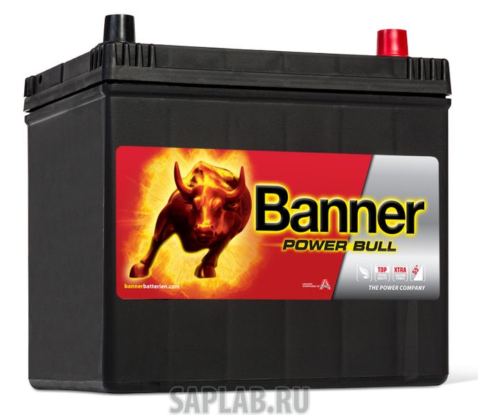 Купить BANNER 6СТ60P6009 Аккумулятор BANNER Power Bull 60А/ч обратная полярность, низкий