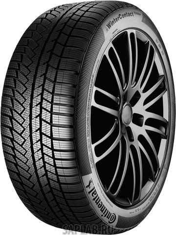 Купить CONTINENTAL 1028378 Шины Continental CONTIWINTERCONTACT TS 810 235/35R19 91V