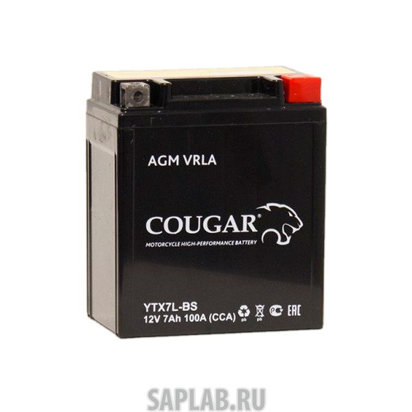 Купить COUGAR YTX7LBS Аккумулятор мотоциклетный Cougar AGM YTX7L-BS 12V 7Ah (залит и готов к применению)