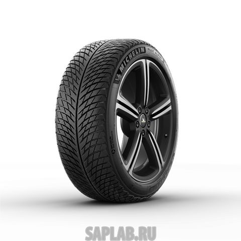 Купить MICHELIN 960570 Шины MICHELIN  315/40/21  V 115 PILOT ALPIN 5  XL (NA5)