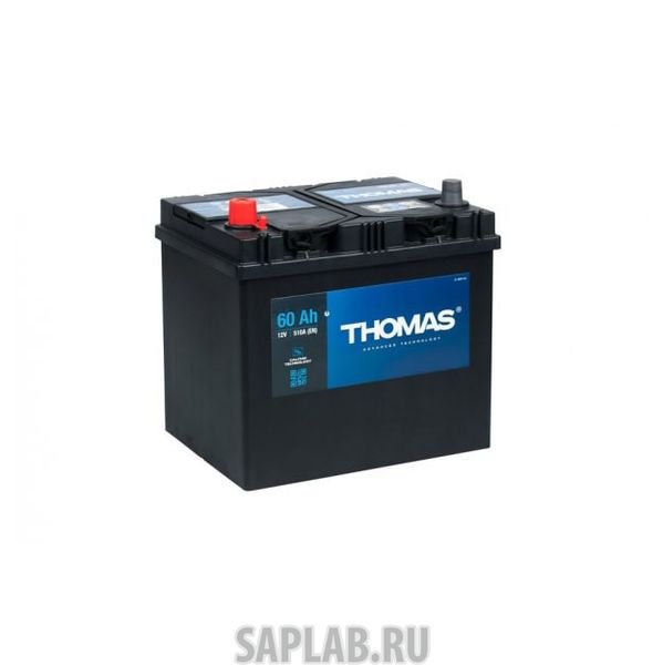 Купить THOMAS ASIA60R550A Аккумулятор THOMAS ASIA  60R 550A 232x173x225