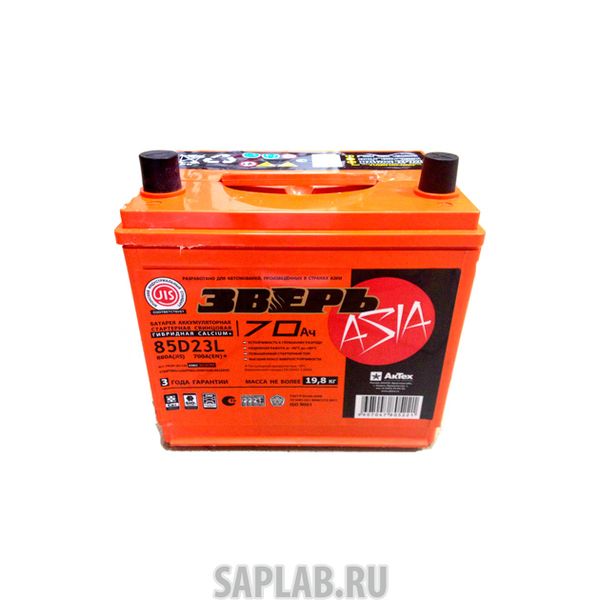 Купить ЗВЕРЬ 6СТ700 Аккумулятор ЗВЕРЬ ASIA 70 А/ч обратная R+ EN 700A 232x175x225 6СТ-70LЗУ/85D23L 6СТ-70.0